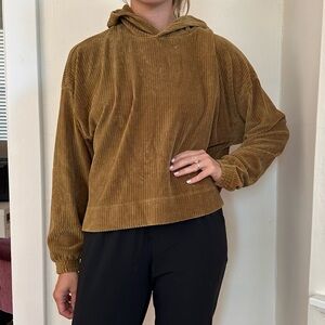 Aerie Corduroy Hoodie in Tan